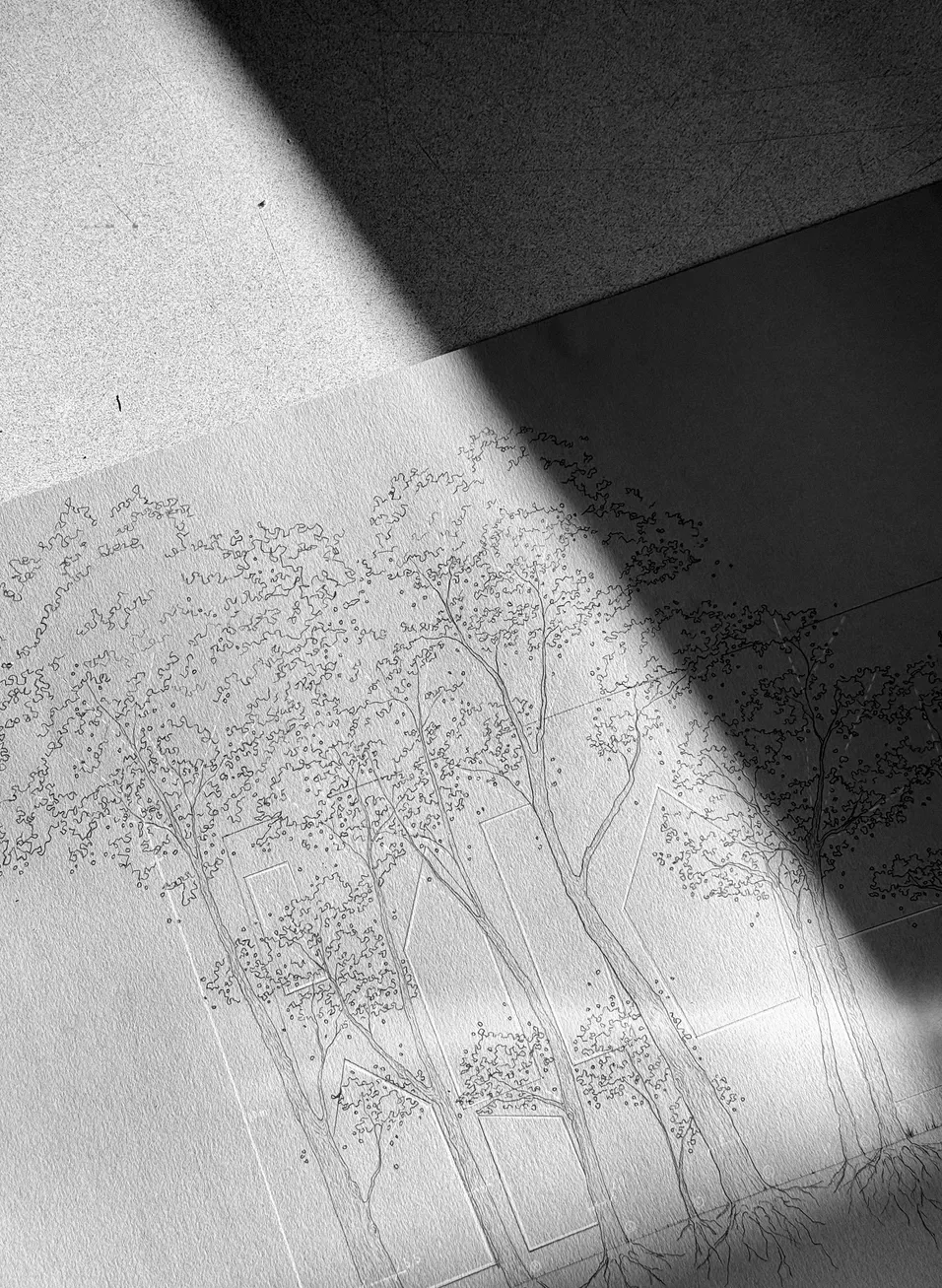 élévation analytique à la main du projet "dancing trees"