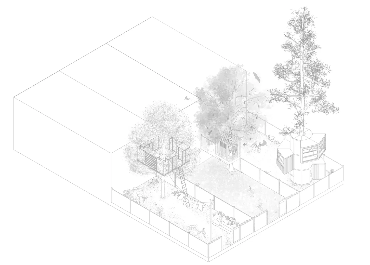 tryptique d'essences : dessin des trois essences et leur cabane respective