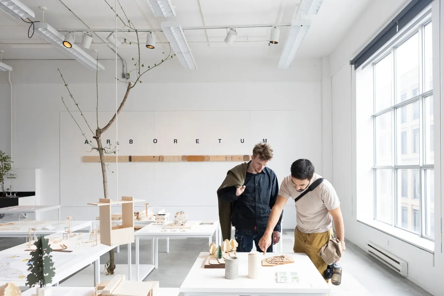 photographie de notre atelier : arboretum